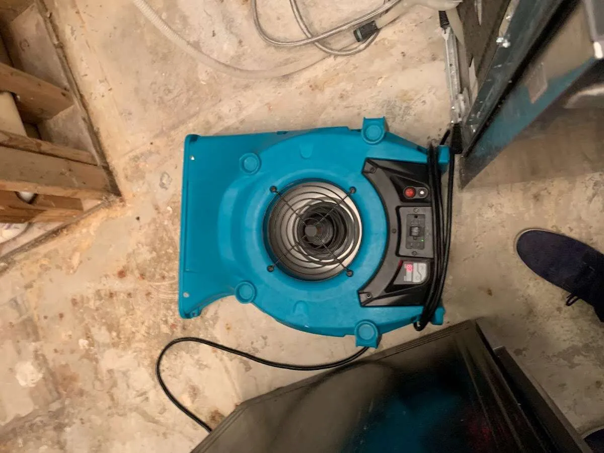 Air mover drying equipment for Mold Remediation & Removal in Lake Bluff
